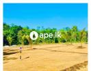 Land For Sale Near Horana